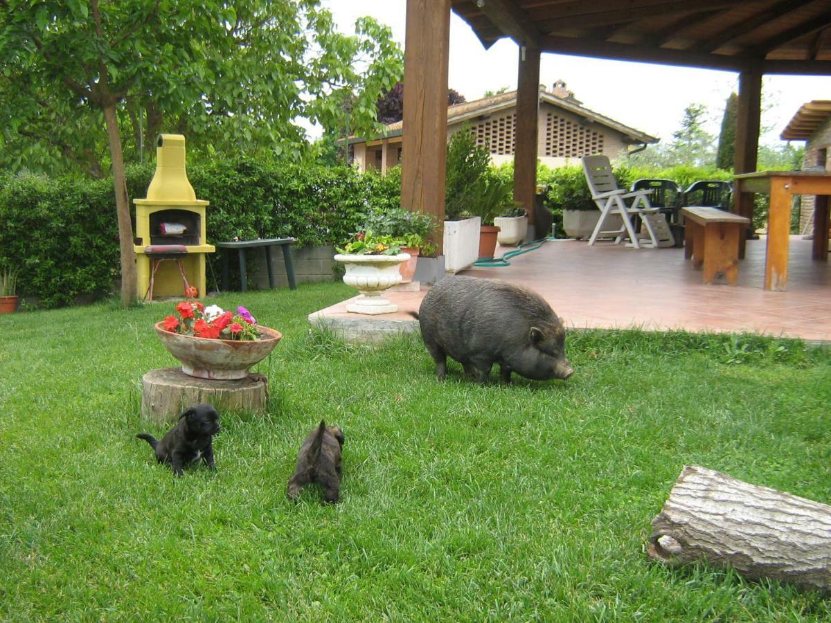 Il Poggio Gasthof